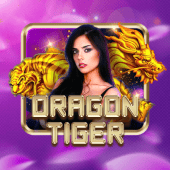Dragon Tiger live game on phplay superace